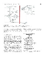 Bhagavan Medical Biochemistry 2001, page 418